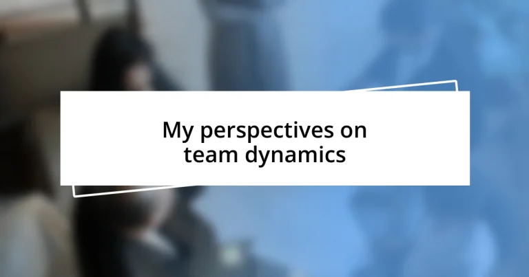 My perspectives on team dynamics