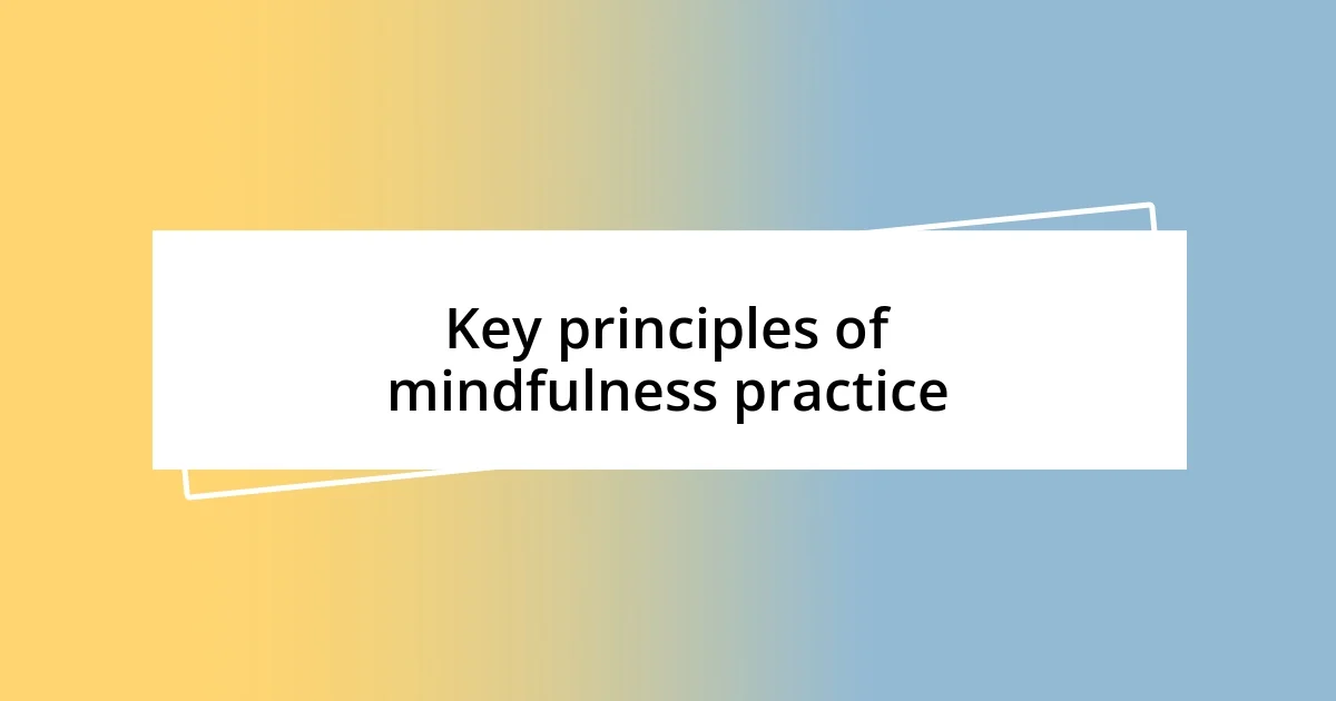 Key principles of mindfulness practice