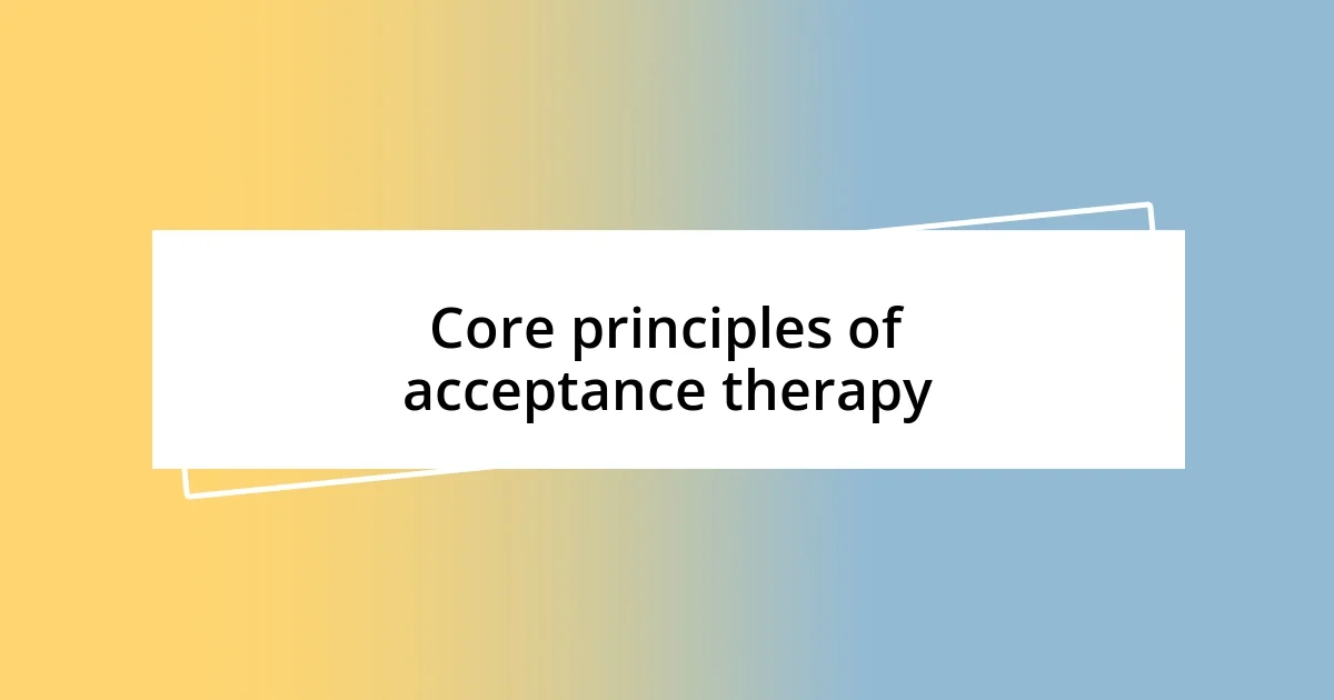 Core principles of acceptance therapy